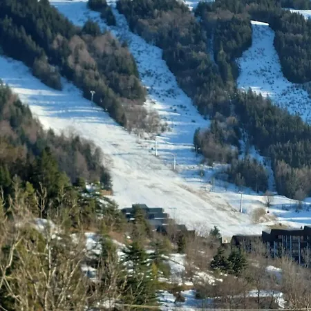 Cosy Pour 4 Personnes En Rdc * Villard-de-Lans